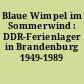 Blaue Wimpel im Sommerwind : DDR-Ferienlager in Brandenburg 1949-1989