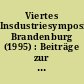Viertes Insdustriesymposium Brandenburg (1995) : Beiträge zur Bedeutung strategischer Allianzen im Land Brandenburg