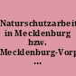 Naturschutzarbeit in Mecklenburg bzw. Mecklenburg-Vorpommern : Gesamtinhaltsverzeichnis und Register der Jahrgänge 22/1979 bis 40/1997