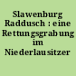 Slawenburg Raddusch : eine Rettungsgrabung im Niederlausitzer Braunkohlenabbaugebiet