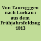 Von Taurogggen nach Luckau : aus dem Frühjahrsfeldzug 1813
