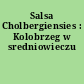 Salsa Cholbergiensies : Kolobrzeg w sredniowieczu