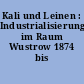 Kali und Leinen : Industrialisierungsansätze im Raum Wustrow 1874 bis 1928