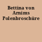 Bettina von Arnims Polenbroschüre