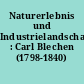Naturerlebnis und Industrielandschaft : Carl Blechen (1798-1840)