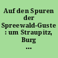 Auf den Spuren der Spreewald-Guste : um Straupitz, Burg und Cottbus ; 19. März 1983