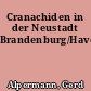 Cranachiden in der Neustadt Brandenburg/Havel