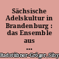 Sächsische Adelskultur in Brandenburg : das Ensemble aus Schloss, Park und Kirche in Lindenau