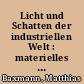 Licht und Schatten der industriellen Welt : materielles und immaterielles Erbe der Industriekultur in Berlin und im Land Brandenburg