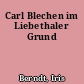 Carl Blechen im Liebethaler Grund