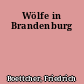 Wölfe in Brandenburg