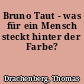 Bruno Taut - was für ein Mensch steckt hinter der Farbe?