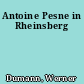 Antoine Pesne in Rheinsberg