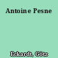 Antoine Pesne