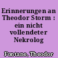 Erinnerungen an Theodor Storm : ein nicht vollendeter Nekrolog