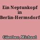 Ein Neptunkopf in Berlin-Hermsdorf
