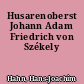 Husarenoberst Johann Adam Friedrich von Székely