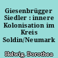 Giesenbrügger Siedler : innere Kolonisation im Kreis Soldin/Neumark