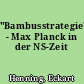 "Bambusstrategie" - Max Planck in der NS-Zeit