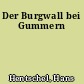 Der Burgwall bei Gummern