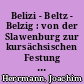 Belizi - Beltz - Belzig : von der Slawenburg zur kursächsischen Festung zwischen Havelland und Fläming ; eine archäologisch-historische Topographie