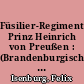 Füsilier-Regiment Prinz Heinrich von Preußen : (Brandenburgisches) Nr. 35