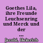 Goethes Lila, ihre Freunde Leuchsenring und Merck und der Homburger Landgrafenhof