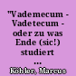 "Vademecum - Vadetecum - oder zu was Ende (sic!) studiert man Kunstgeschichte?"