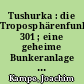 Tushurka : die Troposphärenfunkzentrale 301 ; eine geheime Bunkeranlage der NVA in Wollenberg/Bad Freienwalde