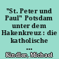 "St. Peter und Paul" Potsdam unter dem Hakenkreuz : die katholische Gemeinde St. Peter und Paul Potsdam in den Jahren 1933 bis 1945 ; Personen und Ereignisse