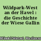 Wildpark-West an der Havel : die Geschichte der Wiese Gallin