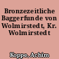 Bronzezeitliche Baggerfunde von Wolmirstedt, Kr. Wolmirstedt