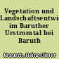 Vegetation und Landschaftsentwicklung im Baruther Urstromtal bei Baruth