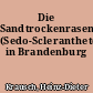 Die Sandtrockenrasen (Sedo-Scleranthetea) in Brandenburg
