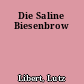 Die Saline Biesenbrow