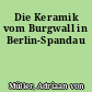 Die Keramik vom Burgwall in Berlin-Spandau