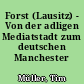Forst (Lausitz) - Von der adligen Mediatstadt zum deutschen Manchester