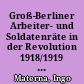 Groß-Berliner Arbeiter- und Soldatenräte in der Revolution 1918/1919 : eine Nachlese zur Dokumentenedition