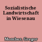 Sozialistische Landwirtschaft in Wiesenau