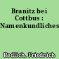 Branitz bei Cottbus : Namenkundliches