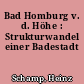 Bad Homburg v. d. Höhe : Strukturwandel einer Badestadt