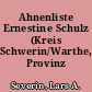 Ahnenliste Ernestine Schulz (Kreis Schwerin/Warthe, Provinz Posen)