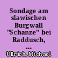 Sondage am slawischen Burgwall "Schanze" bei Raddusch, Kr. Calau