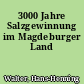 3000 Jahre Salzgewinnung im Magdeburger Land