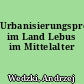 Urbanisierungsprozesse im Land Lebus im Mittelalter