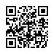 QR Code (код быстрого отклика)