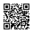 QR Code (код быстрого отклика)