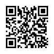 QR Code (код быстрого отклика)