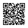 QR Code (код быстрого отклика)