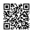 QR Code (код быстрого отклика)